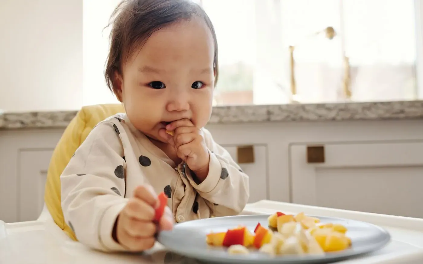 Em bé ngồi ghế ăn và tự cầm miếng trái cây