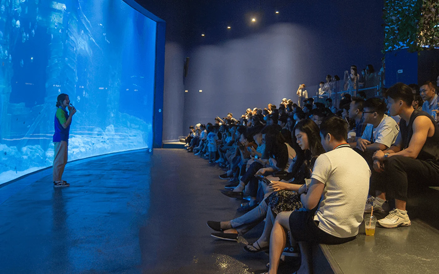 Buổi giới thiệu sinh vật biển trước bể chính Lotte World Aquarium Hà Nội