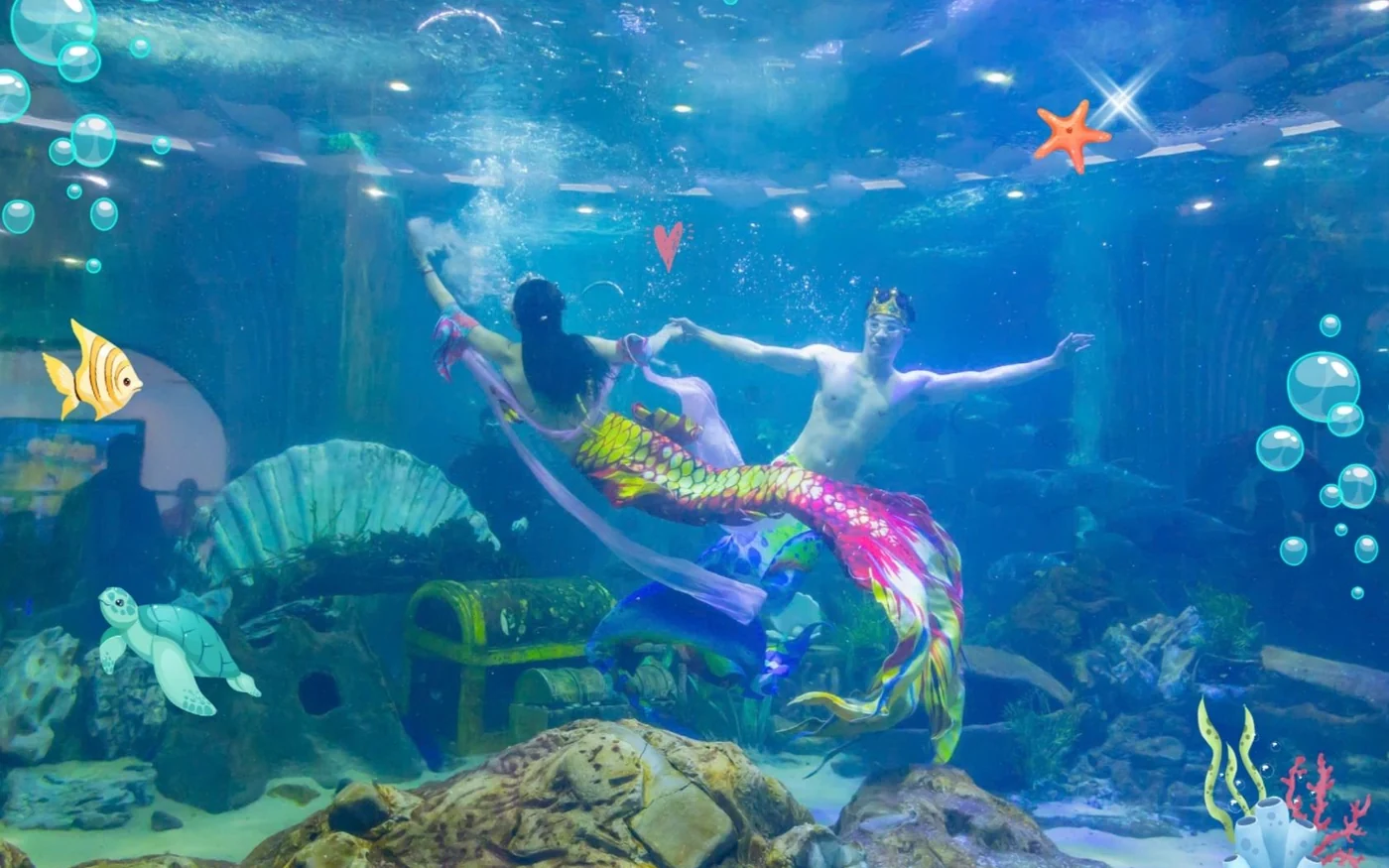Biểu diễn nàng tiên cá tại Thủy cung Vinpearl Times City